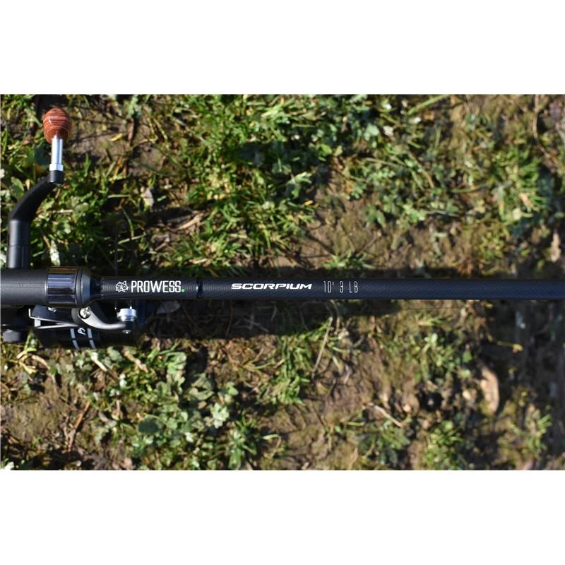 CANNE CARPE PROWESS SCORPIUM 2 CANNE CARPE PROWESS SCORPIUM – Image 2