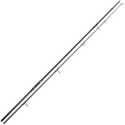 CANNE CARPE RADICAL AFTER DARK+