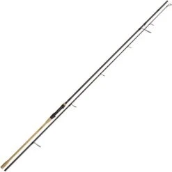 CANNE CARPE RADICAL INSIST