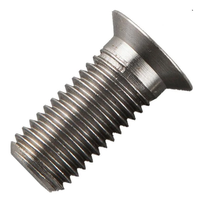 VIS DE FIXATION POUR DETECTEUR DELKIM RVS D-LOCK LONG BOLT 1 VIS DE FIXATION POUR DETECTEUR DELKIM RVS D-LOCK LONG BOLT